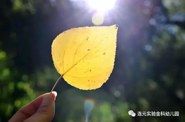 https://lysyjk.wxlxjy.com/contents/sitefiles2051/10255518/images/29486516.jpg
