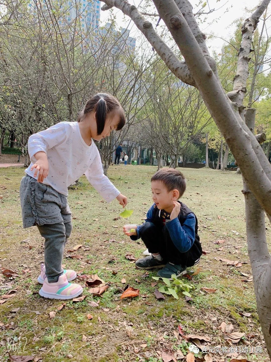 https://lysyjk.wxlxjy.com/contents/sitefiles2051/10255518/images/29486521.jpg
