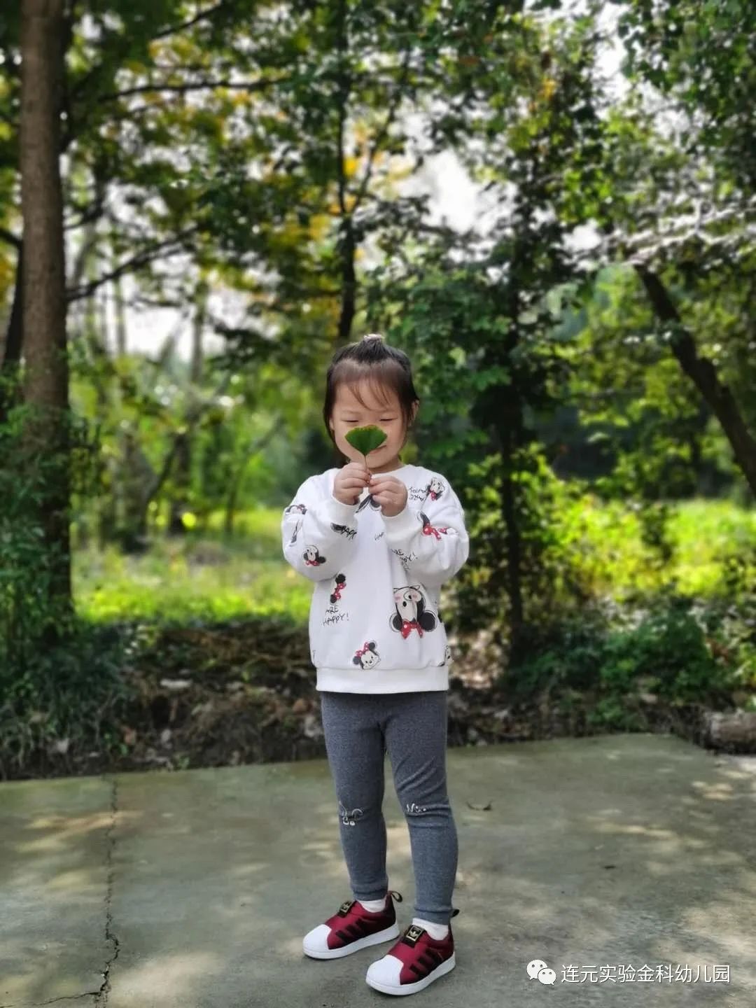 https://lysyjk.wxlxjy.com/contents/sitefiles2051/10255518/images/29486529.jpg