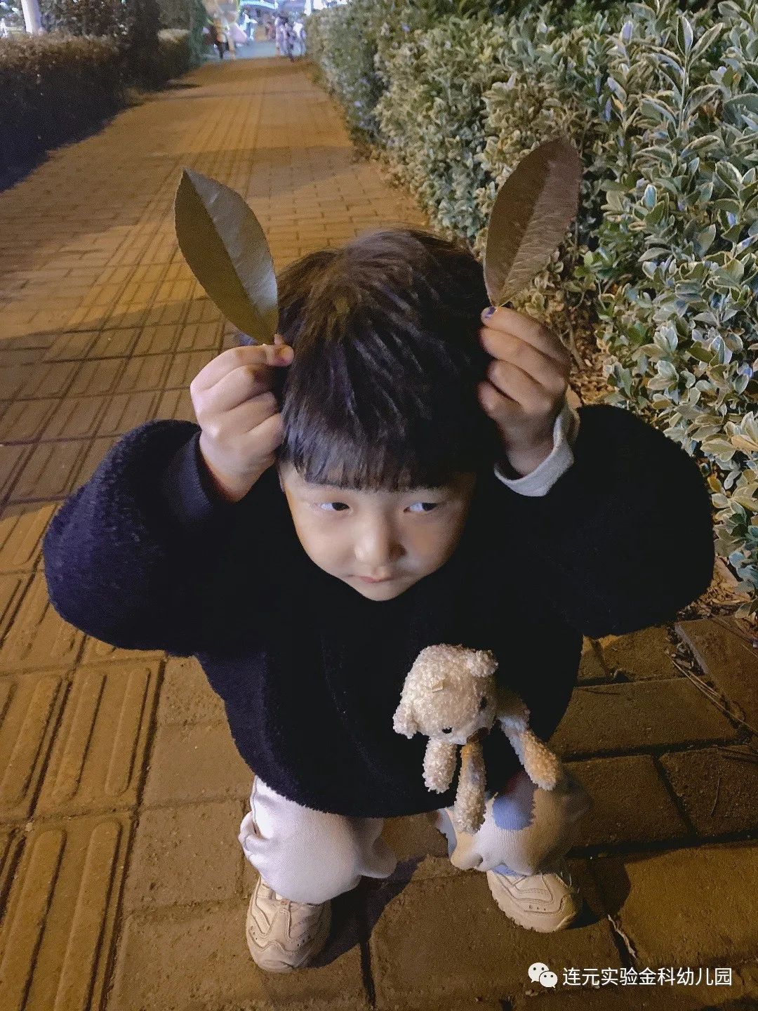 https://lysyjk.wxlxjy.com/contents/sitefiles2051/10255518/images/29486531.jpg