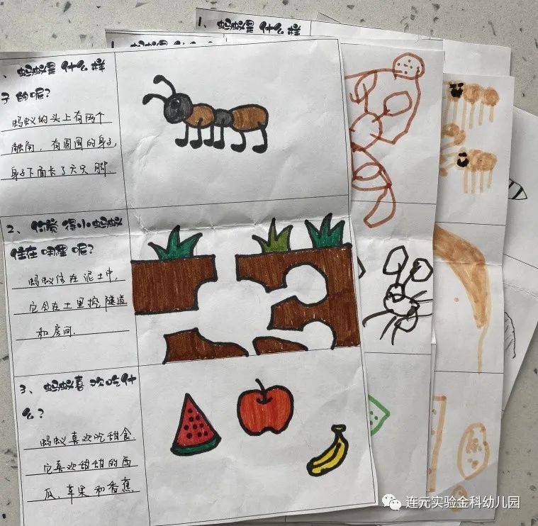 https://lysyjk.wxlxjy.com/contents/sitefiles2051/10255518/images/29486759.jpg