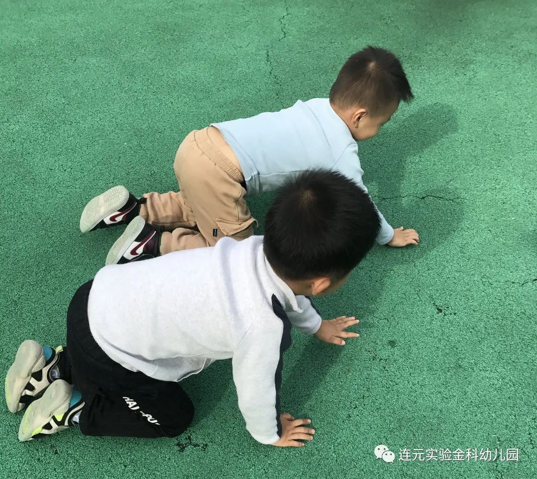 https://lysyjk.wxlxjy.com/contents/sitefiles2051/10255518/images/29493749.jpg