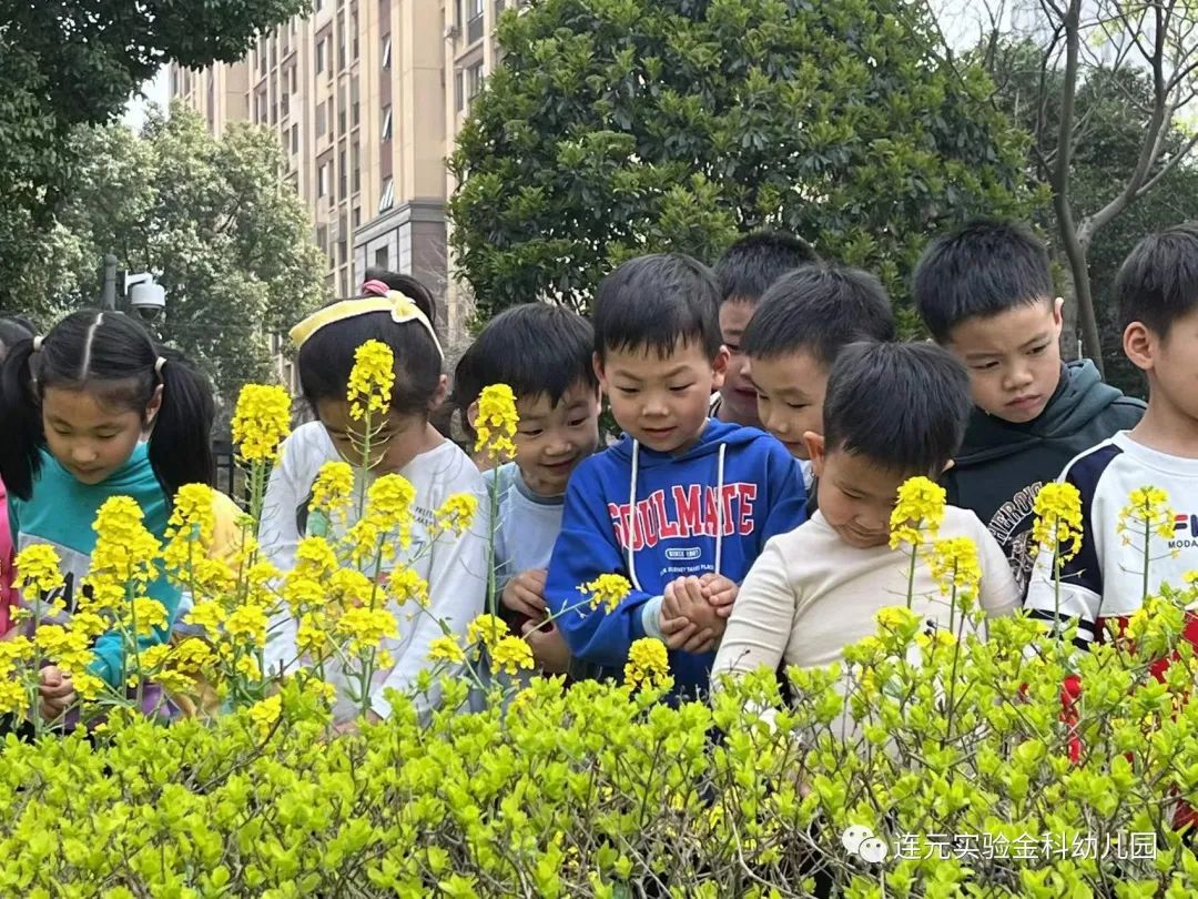 https://lysyjk.wxlxjy.com/contents/sitefiles2051/10255518/images/29746504.jpg