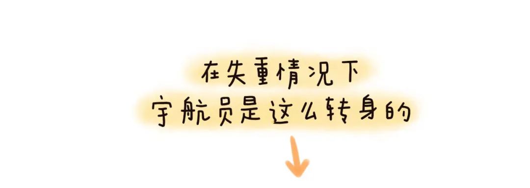 https://lysyjk.wxlxjy.com/contents/sitefiles2051/10255518/images/29864872.jpg