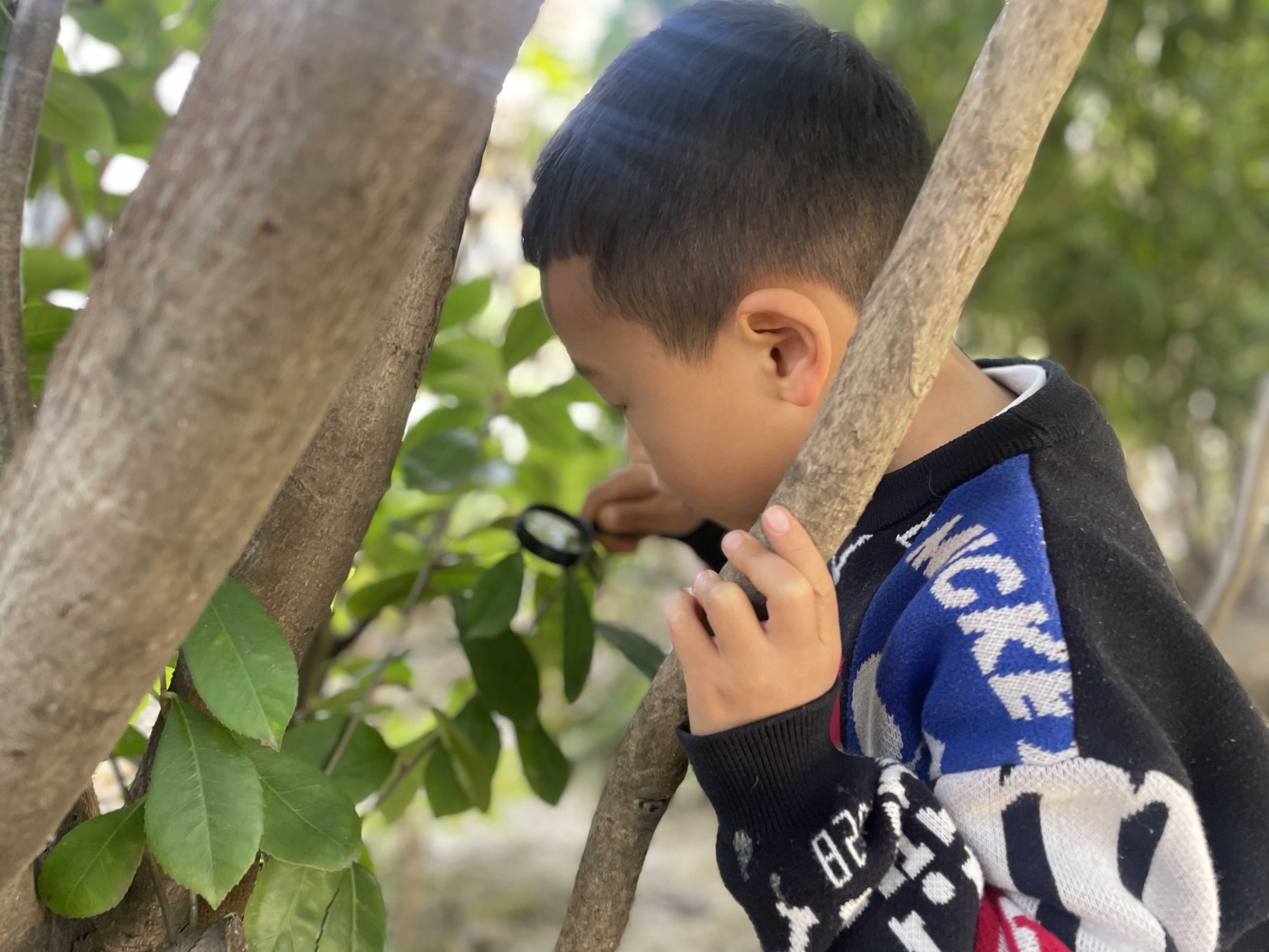 https://lysyjk.wxlxjy.com/contents/sitefiles2059/10296567/images/41844320.jpg