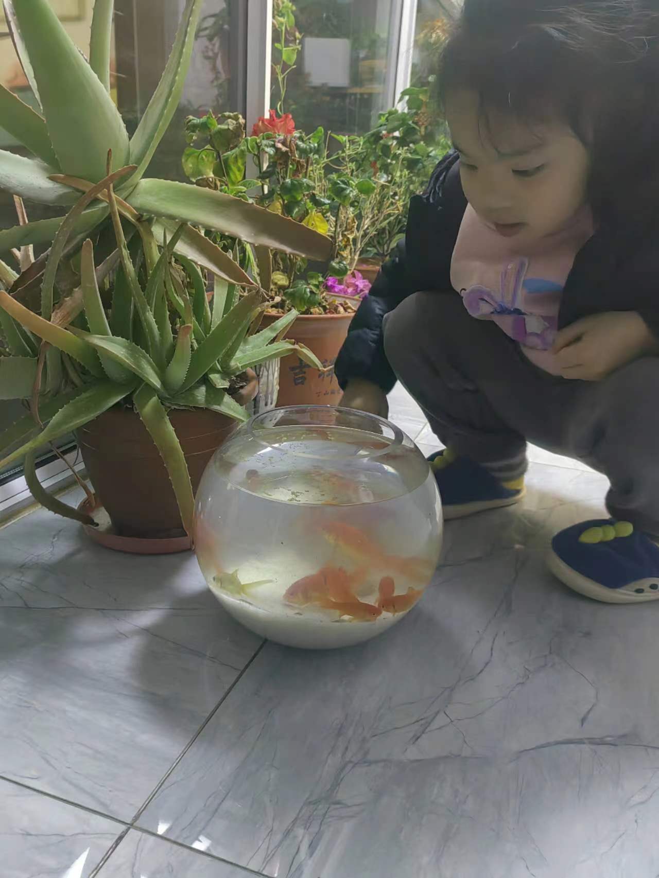https://lysyjk.wxlxjy.com/contents/sitefiles2059/10296567/images/42255661.jpg