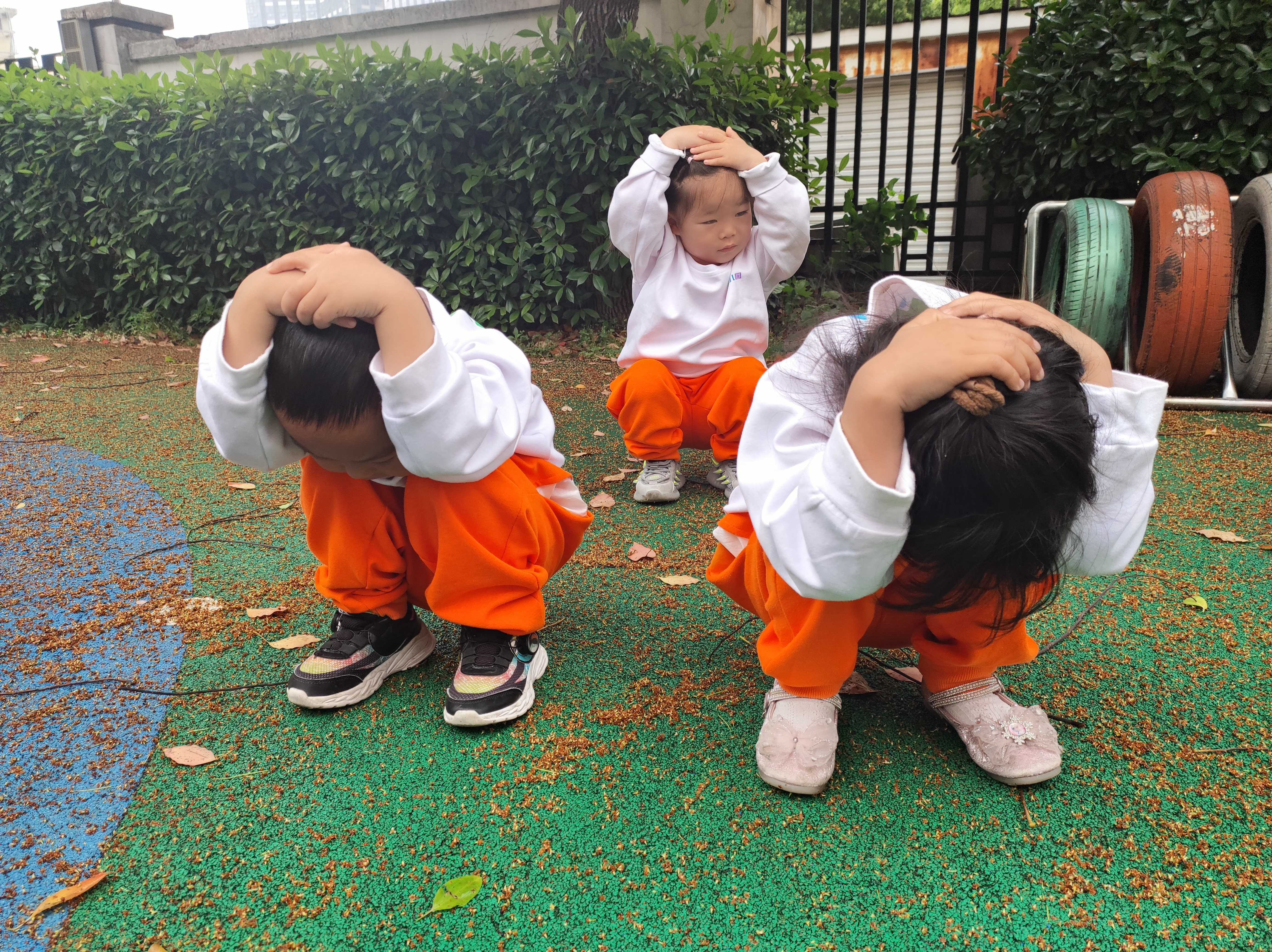 https://lysyjk.wxlxjy.com/contents/sitefiles2059/10296567/images/43356237.jpg