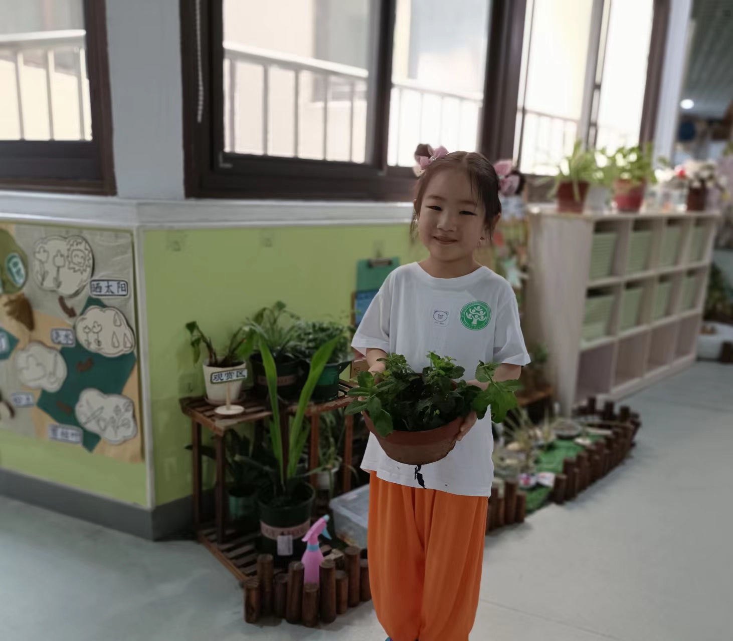 https://lysyjk.wxlxjy.com/contents/sitefiles2059/10296567/images/43863678.jpg