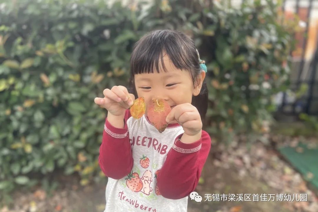 https://lysyjk.wxlxjy.com/contents/sitefiles2065/10328629/images/47424190.jpg