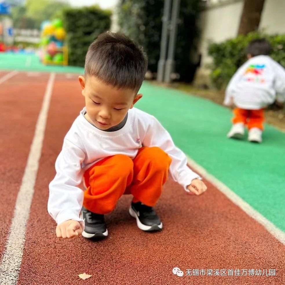 https://lysyjk.wxlxjy.com/contents/sitefiles2065/10328629/images/47528650.jpg