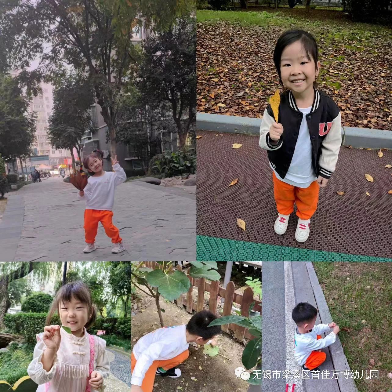 https://lysyjk.wxlxjy.com/contents/sitefiles2065/10328629/images/47528665.jpg
